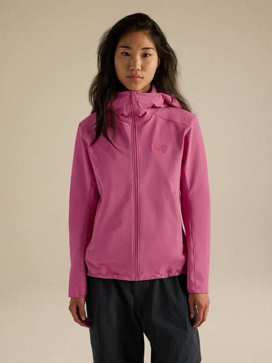 Arcteryx Gamma Hoody Women's