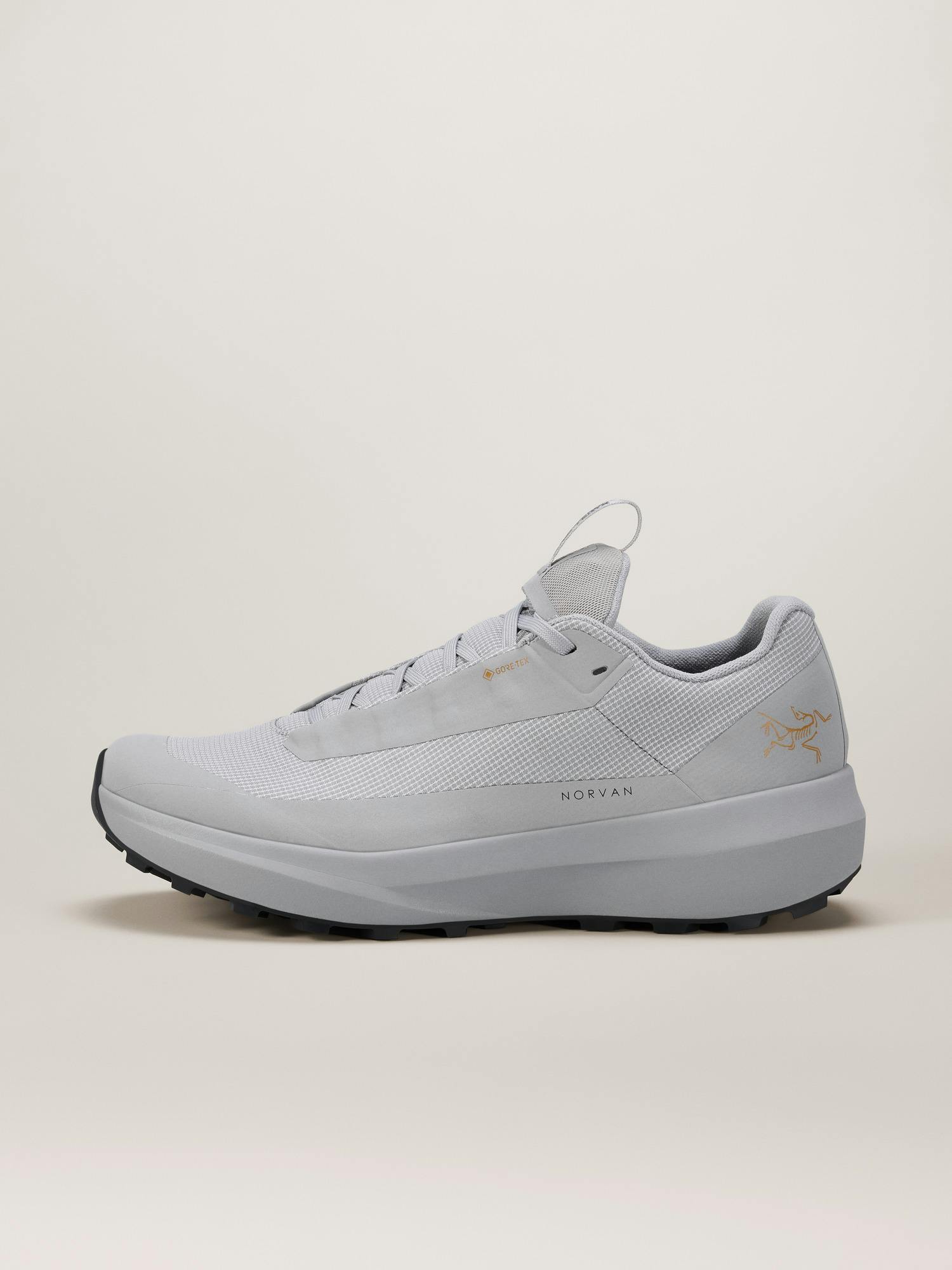 Arcteryx Norvan LD 4 GTX Shoe Women's