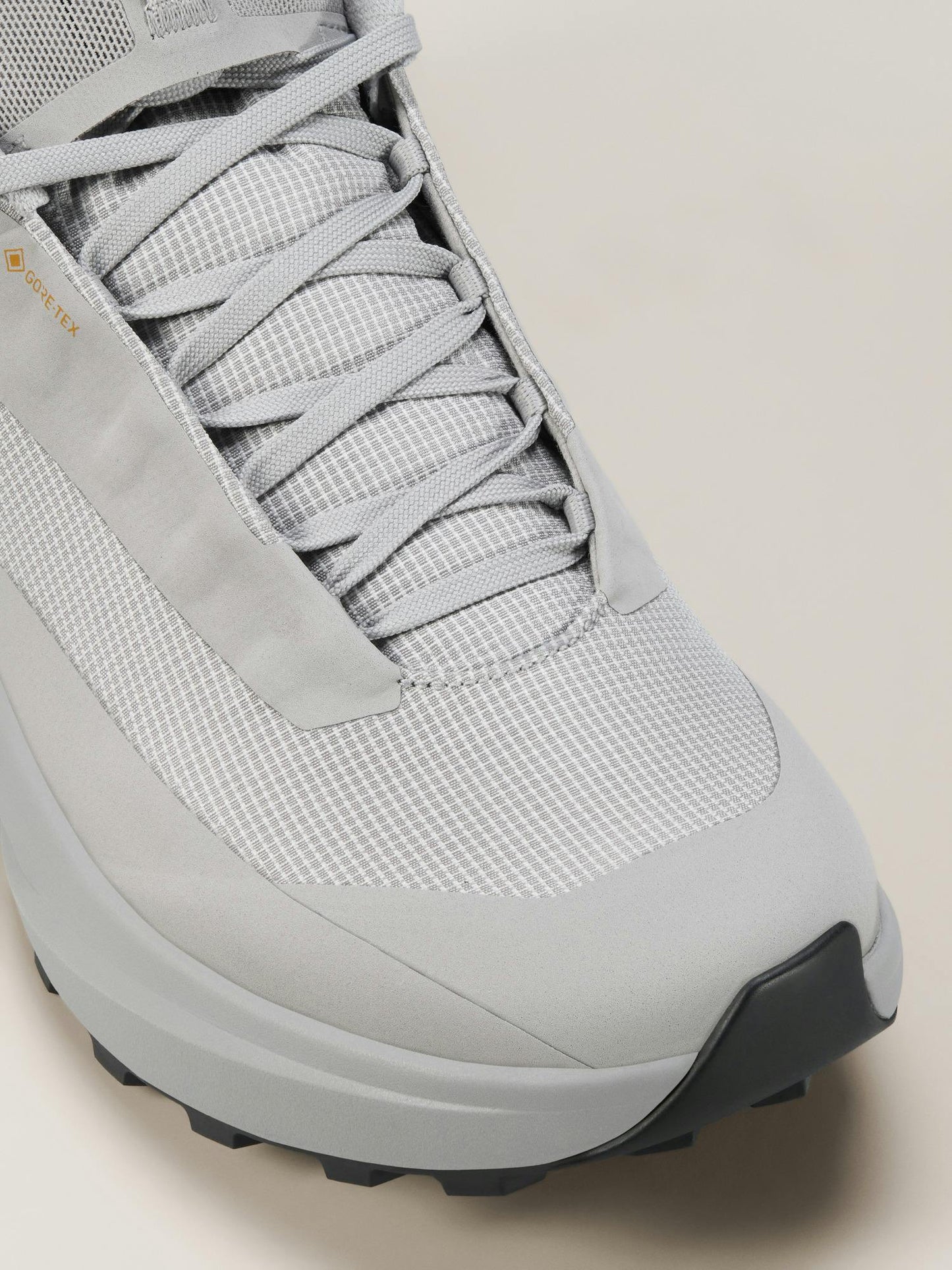 Arcteryx Norvan LD 4 GTX Shoe Women's