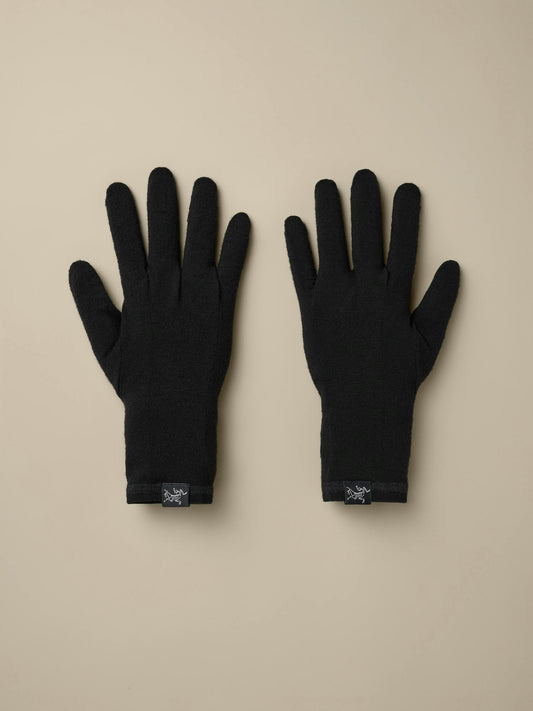 Arcteryx Gothic Glove