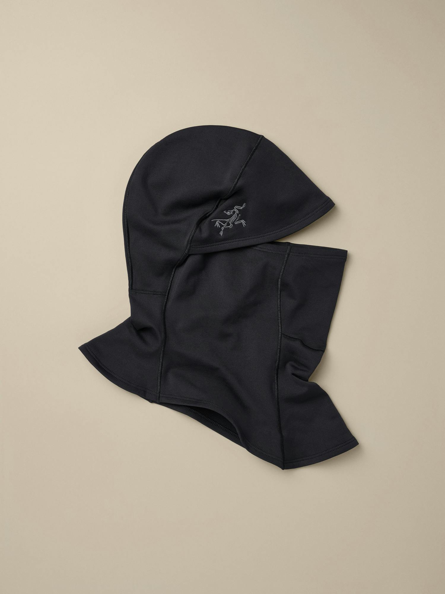 Arcteryx Rho Balaclava