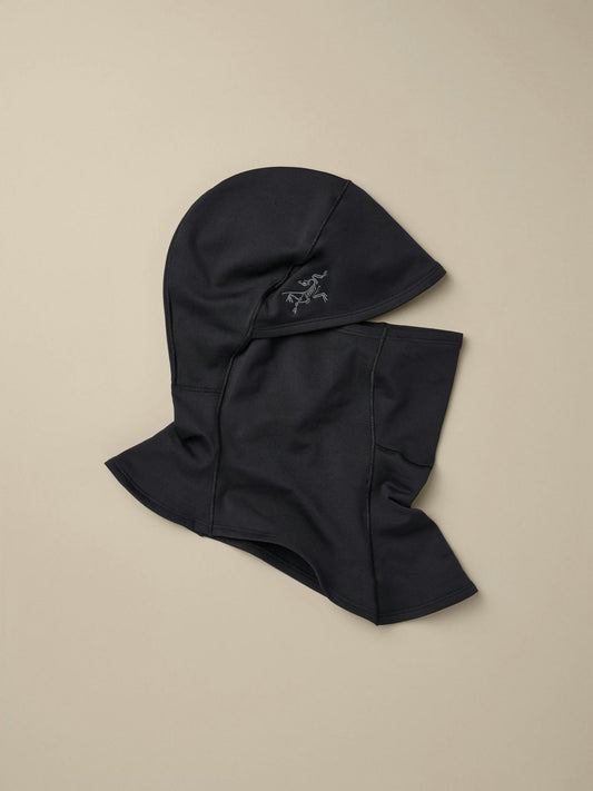 Arcteryx Rho Balaclava