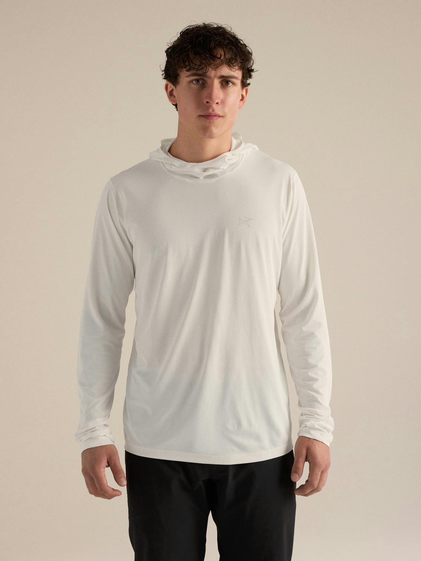 Arcteryx Cormac Hoody Men's