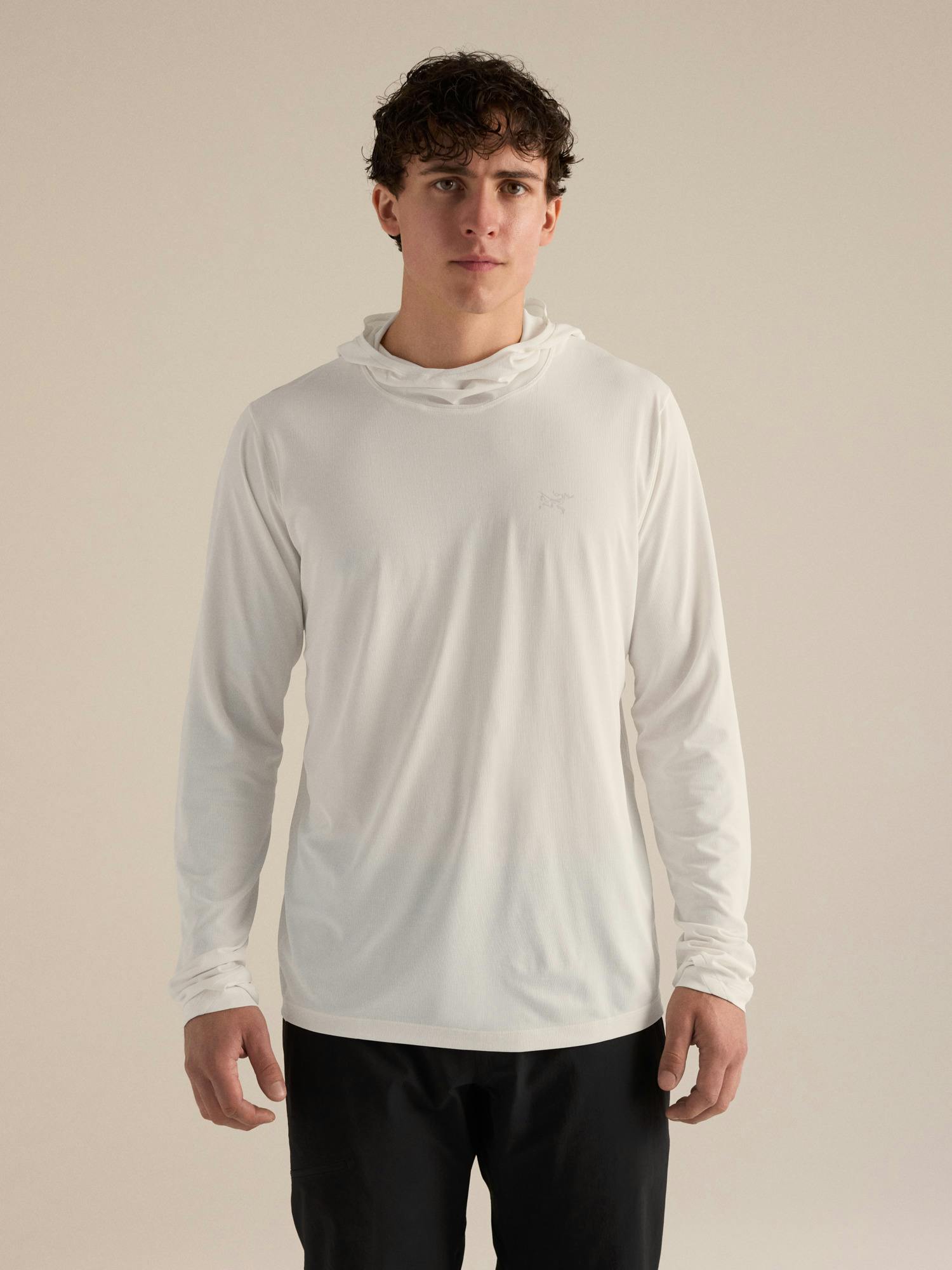 Arcteryx Cormac Hoody Men's
